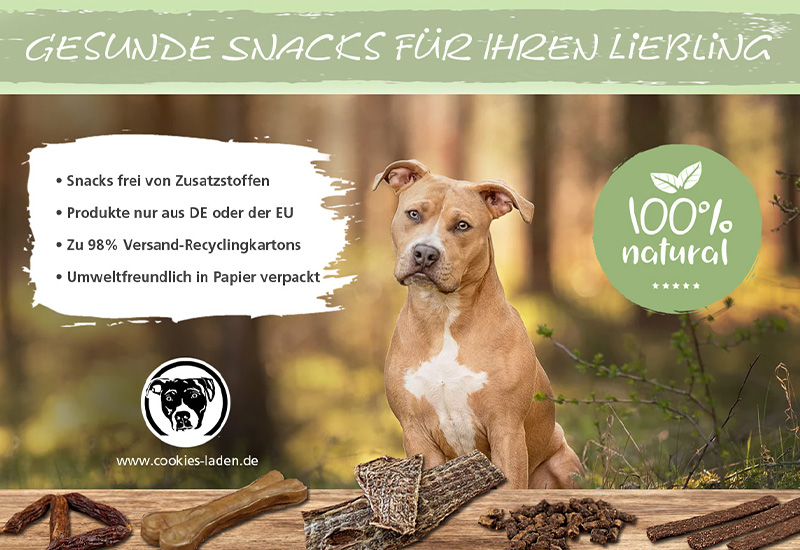 Gesunde Snacks für Ihren Liebling